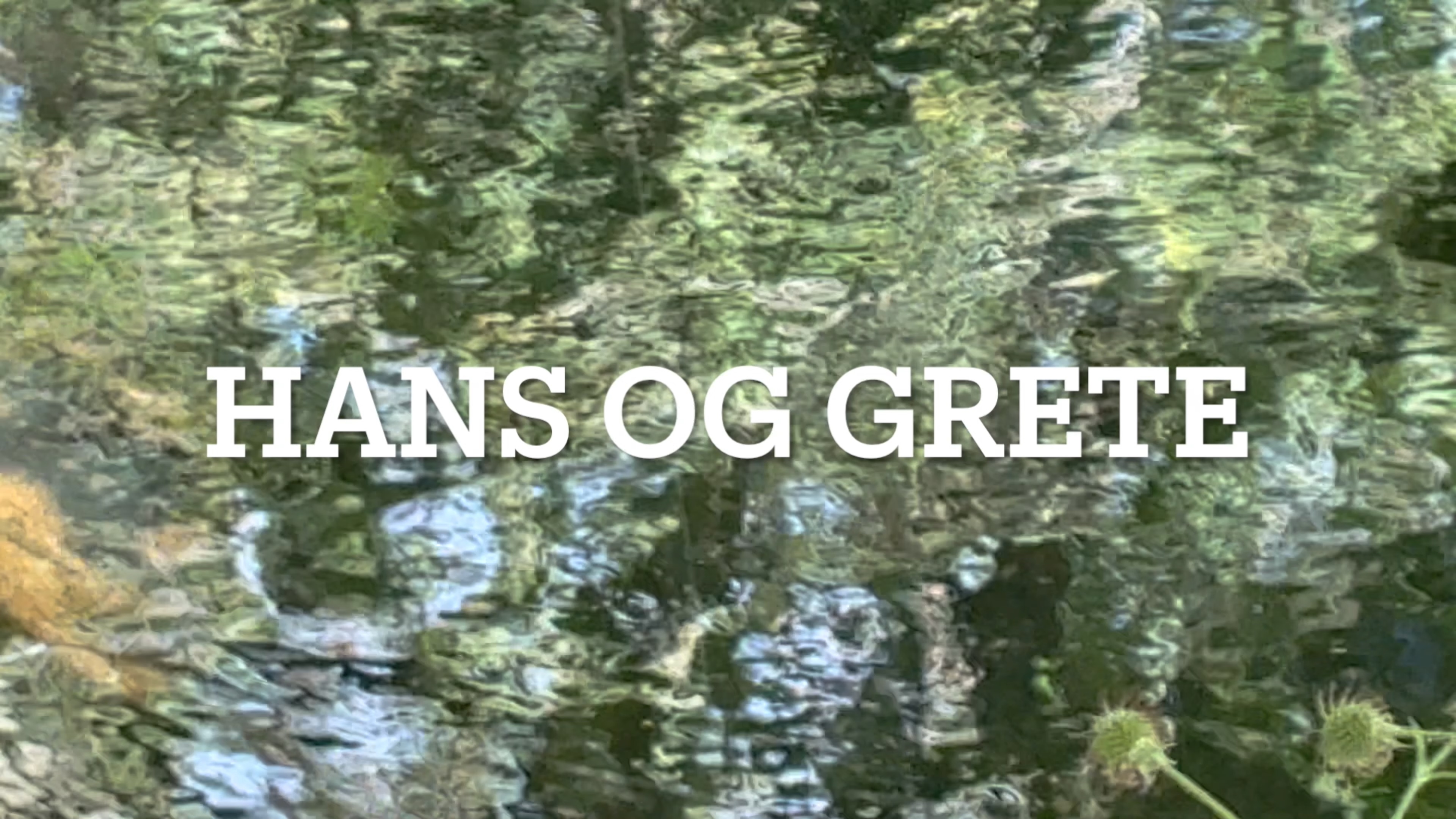 Hans Og Grete